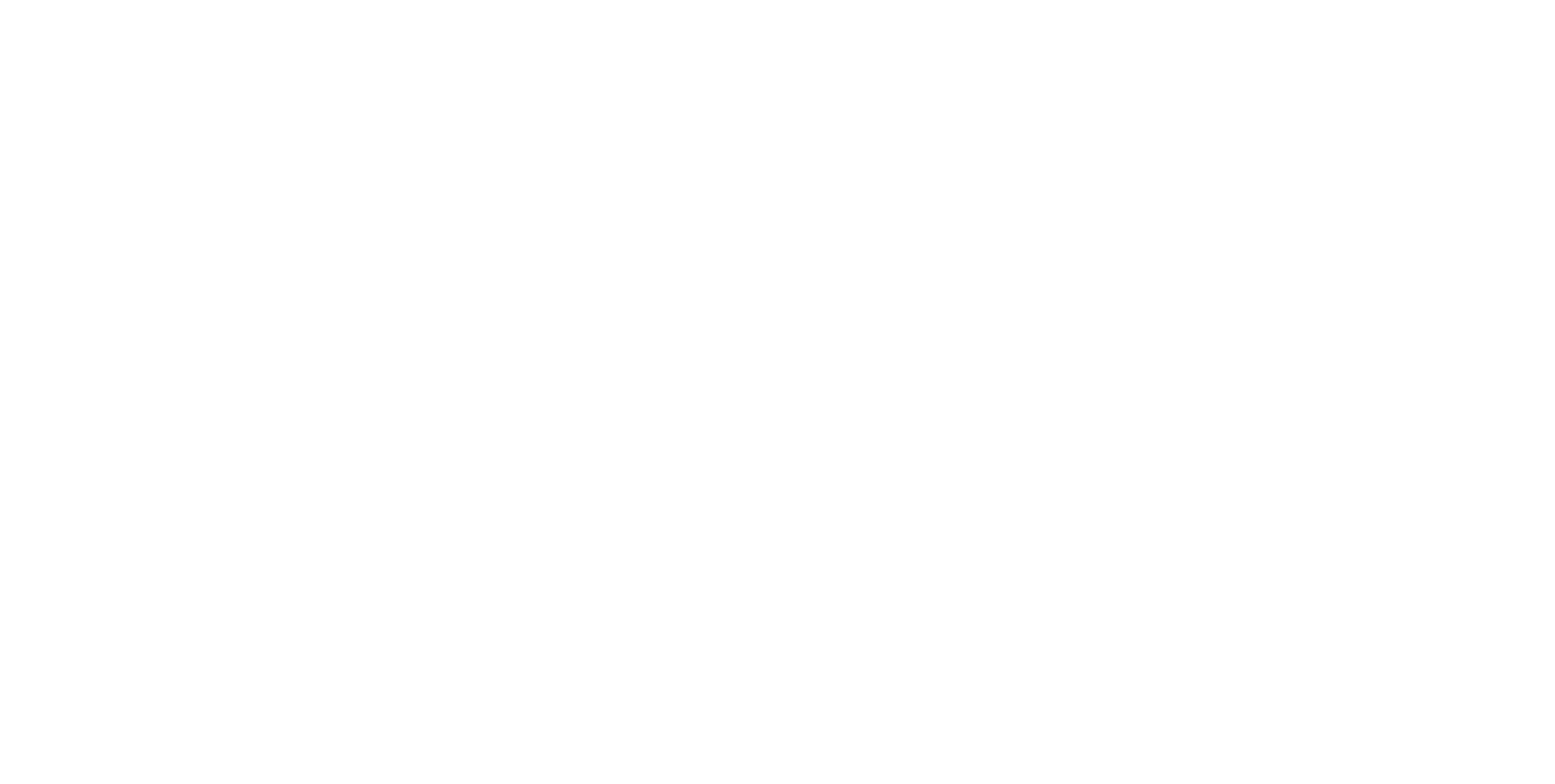 everest logo white